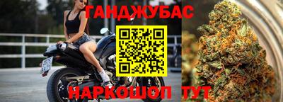 гидра Донской