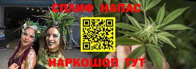 гидра Донской