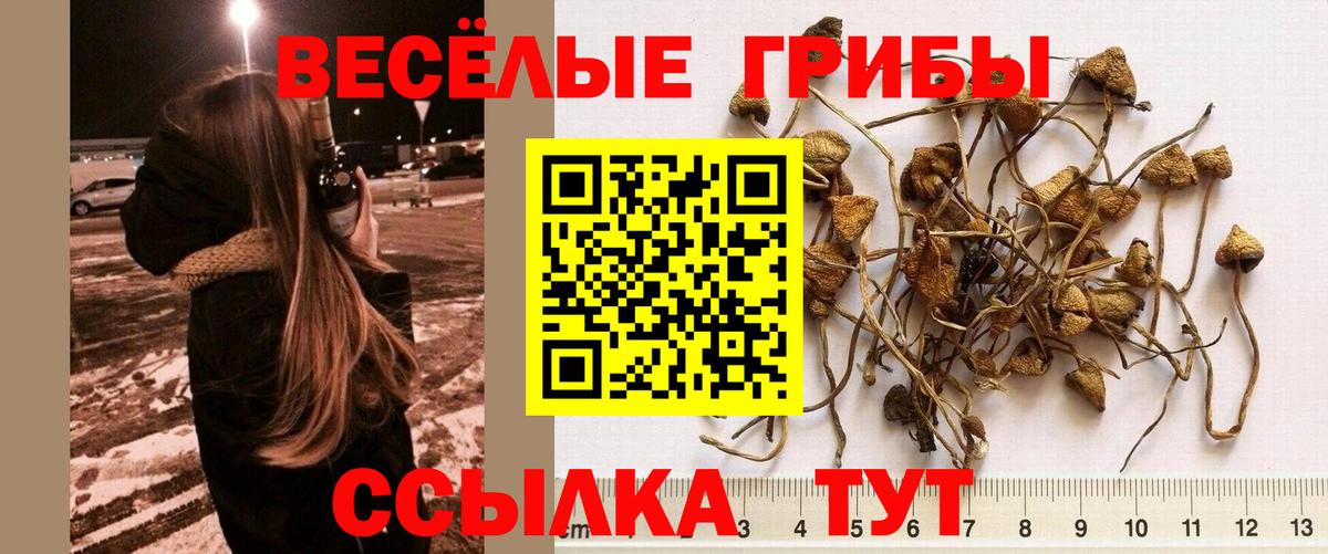 Галлюциногенные грибы мухоморы  Вход с VPN  закладка  Нефтекамск  Галлюциногенные грибы ЛСД 